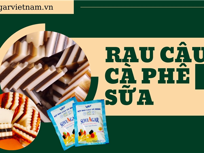 Rau Câu Cafe Sữa Từ Bột Rau Câu Vũ Minh Soviagar – Món Tráng Miệng Ngon Mát, Dễ Làm